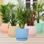 Plastic Flower Pot with Bottom Tray (5 Pcs Set) - Image 4