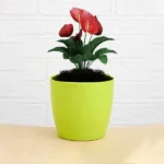 Flower Pots Round Shape For Indoor / Outdoor Gardening ( Set of 5 ) - Image 2
